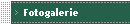 Fotogalerie