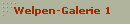 Welpen-Galerie 1