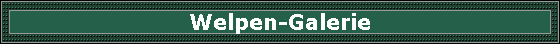 Welpen-Galerie