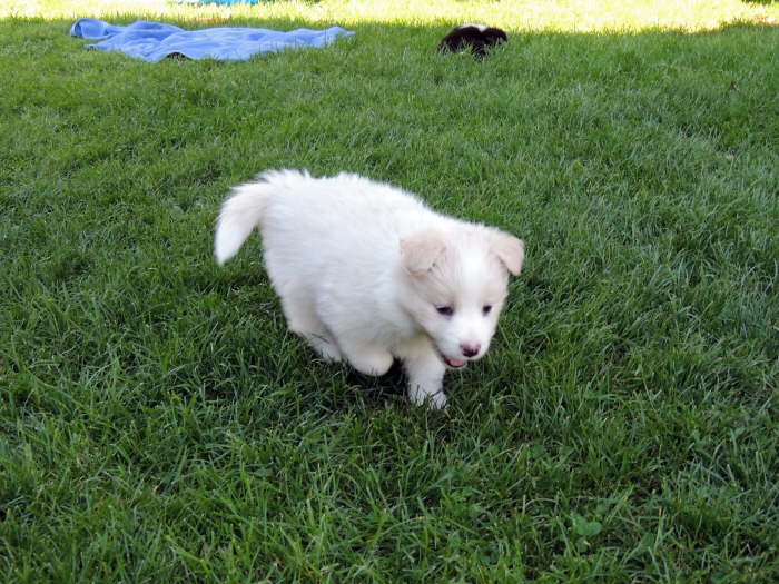 DSCN1344