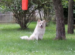 DSCN2178