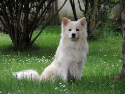 DSCN2182