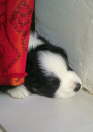 IMAG0173-1-1