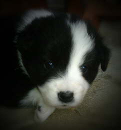 IMAG0176-1-picsay